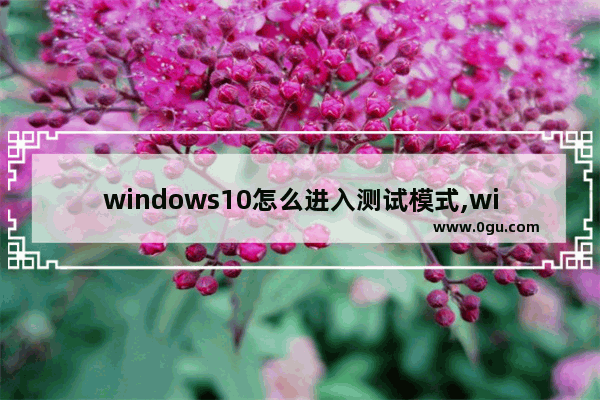 windows10怎么进入测试模式,win10测试模式打不开