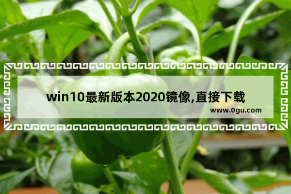 win10最新版本2020镜像,直接下载win10镜像并安装