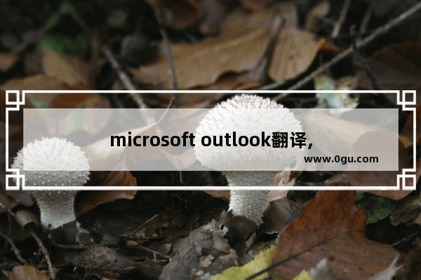 microsoft outlook翻译,win10 mail 与outlook