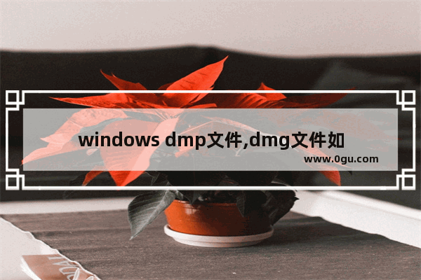 windows dmp文件,dmg文件如何在windows10打开