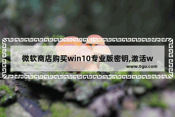 微软商店购买win10专业版密钥,激活windows10密钥在哪里购买