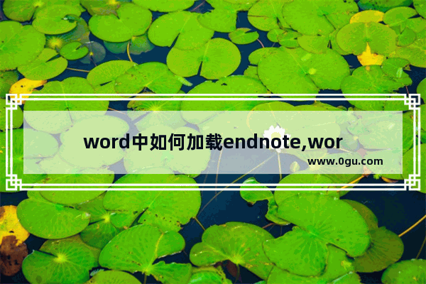 word中如何加载endnote,word中endnote加载项