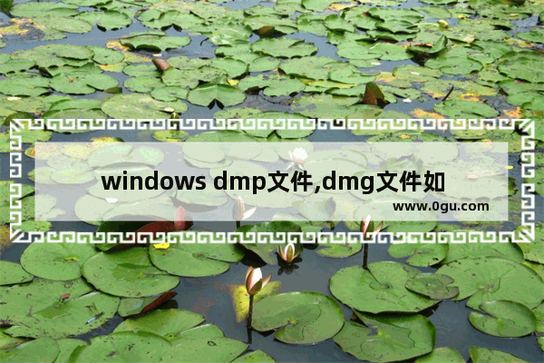 windows dmp文件,dmg文件如何在windows10打开