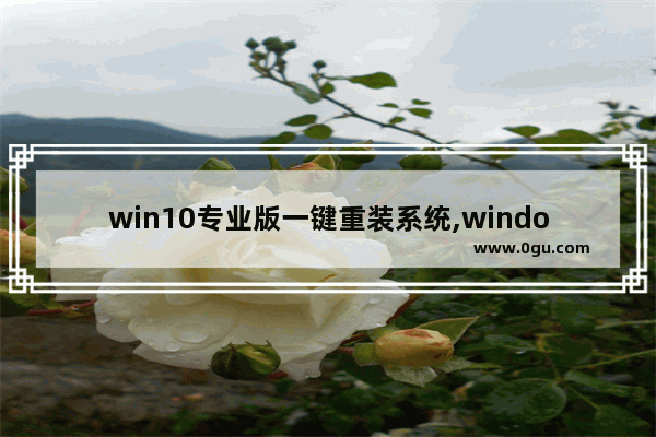 win10专业版一键重装系统,windows10一键安装工具