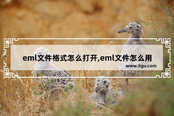 eml文件格式怎么打开,eml文件怎么用