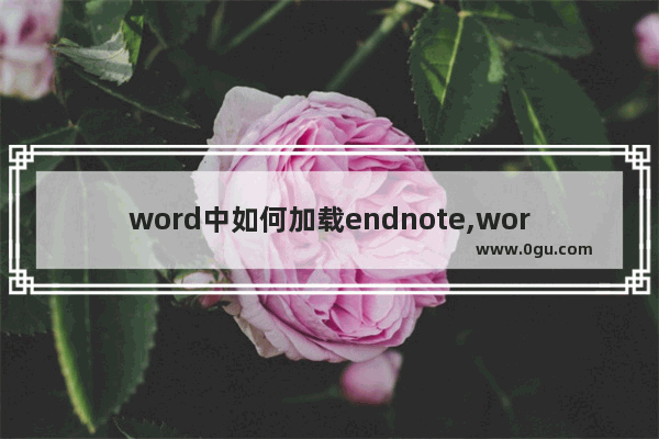 word中如何加载endnote,word中endnote加载项