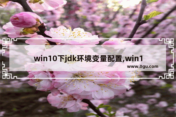 win10下jdk环境变量配置,win10系统jdk环境变量配置