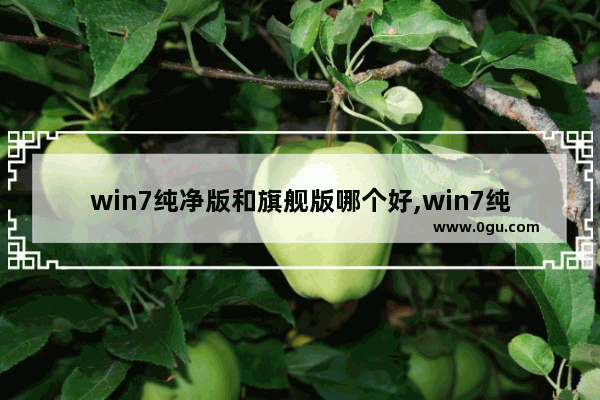 win7纯净版和旗舰版哪个好,win7纯净版好不好