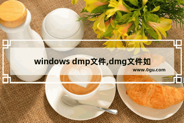 windows dmp文件,dmg文件如何在windows10打开