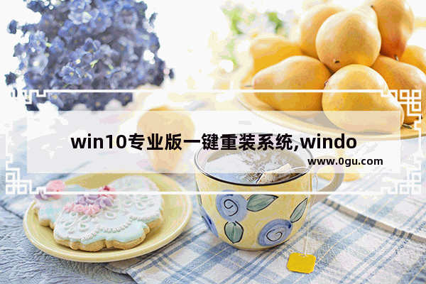 win10专业版一键重装系统,windows10一键安装工具