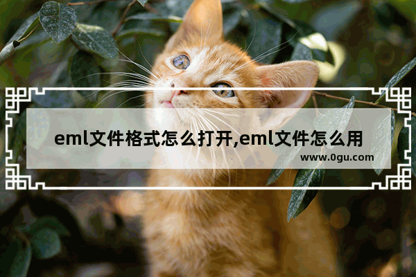 eml文件格式怎么打开,eml文件怎么用