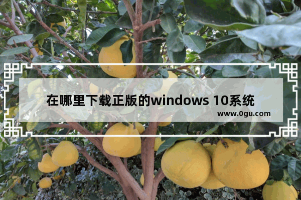 在哪里下载正版的windows 10系统,Windows 10系统下载