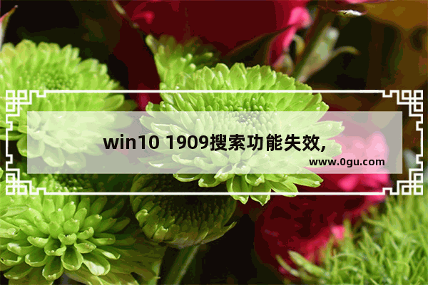 win10 1909搜索功能失效,