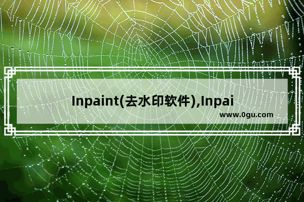 Inpaint(去水印软件),Inpaint(去水印软件)