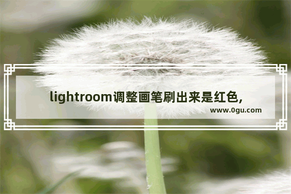 lightroom调整画笔刷出来是红色,lightroom调整画笔没反应