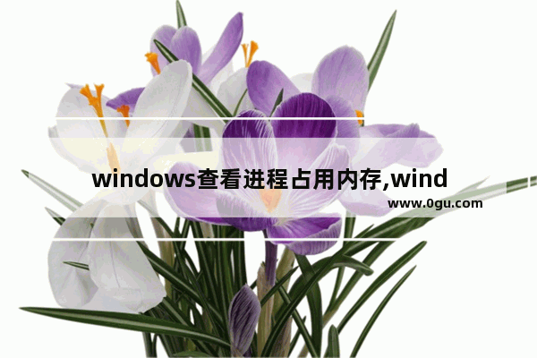 windows查看进程占用内存,windows10如何查看内存占用