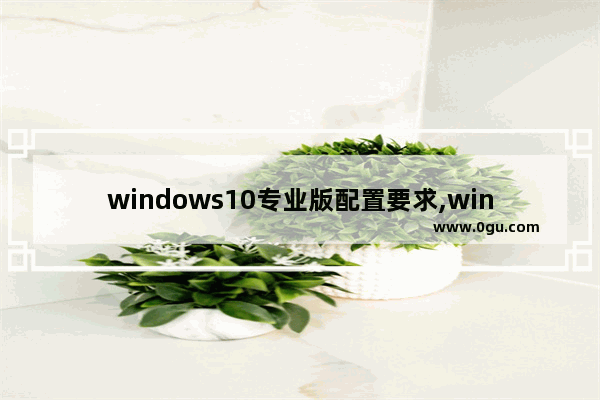 windows10专业版配置要求,win10设置中没有数据使用量