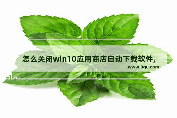 怎么关闭win10应用商店自动下载软件,win10自带应用商店下载不了