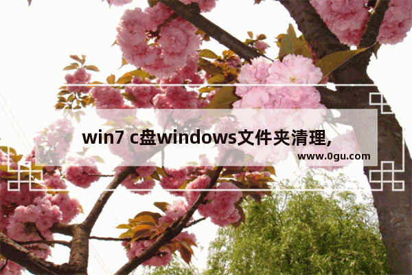 win7 c盘windows文件夹清理,win7旗舰如何彻底清理c盘