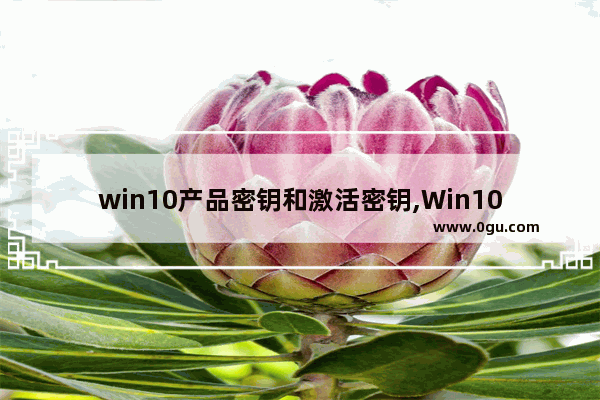 win10产品密钥和激活密钥,Win1010产品密钥