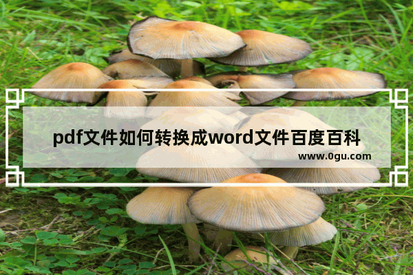 pdf文件如何转换成word文件百度百科,pdf文档如何转换为word