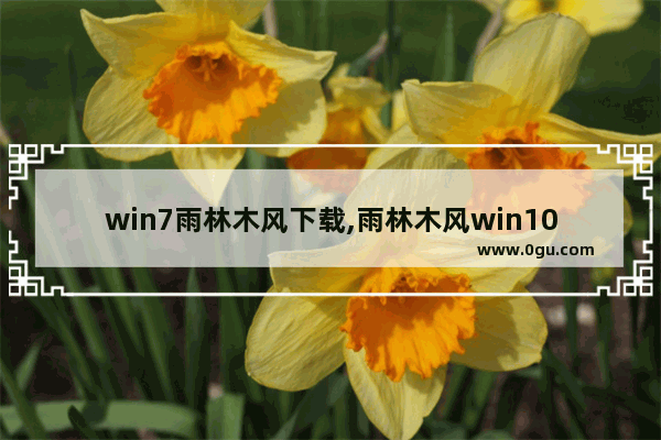 win7雨林木风下载,雨林木风win10安装教程视频 1