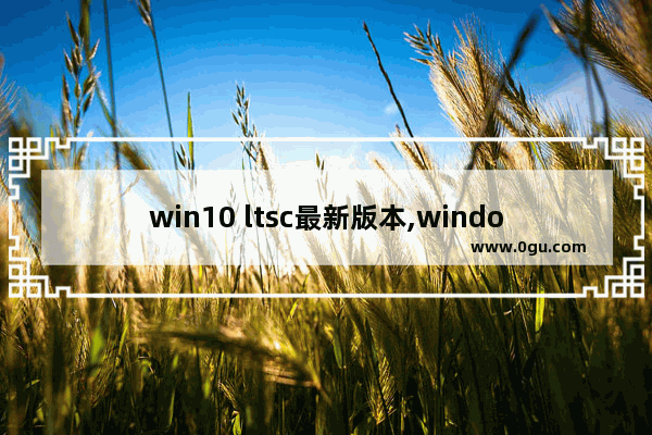 win10 ltsc最新版本,window10 ltsc2019