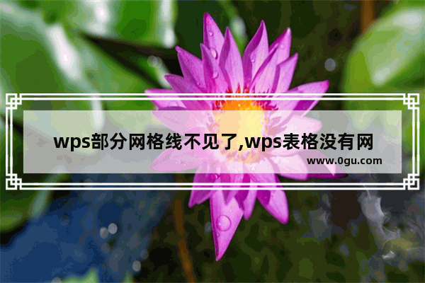 wps部分网格线不见了,wps表格没有网格线是怎么回事