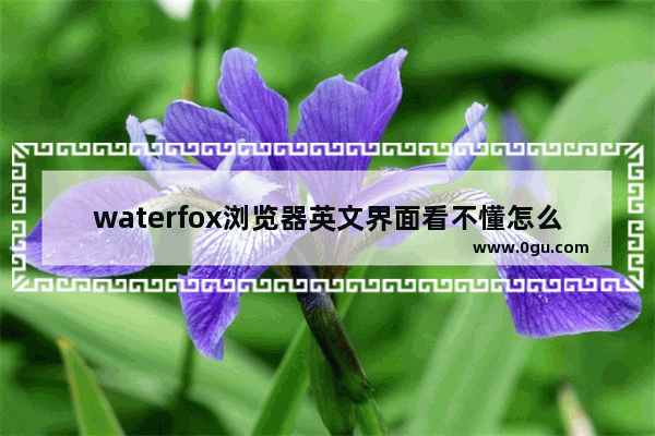 waterfox浏览器英文界面看不懂怎么办 waterfox浏览器英文界面看不懂的解决方法