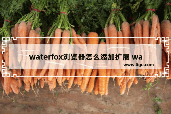 waterfox浏览器怎么添加扩展 waterfox浏览器添加扩展的方法