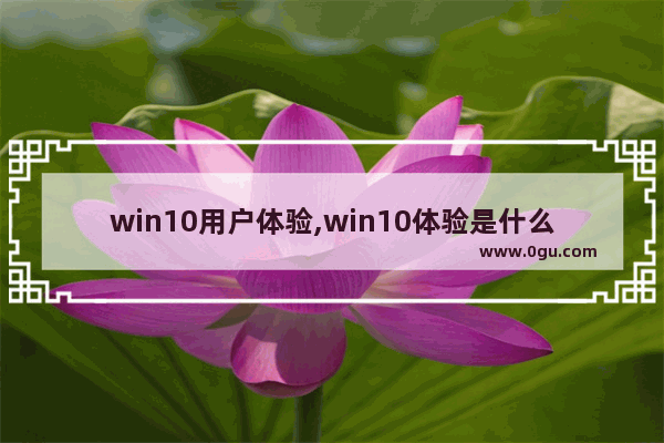 win10用户体验,win10体验是什么意思