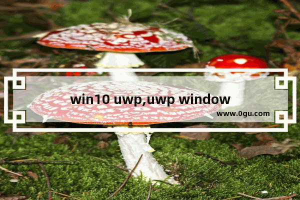 win10 uwp,uwp windows