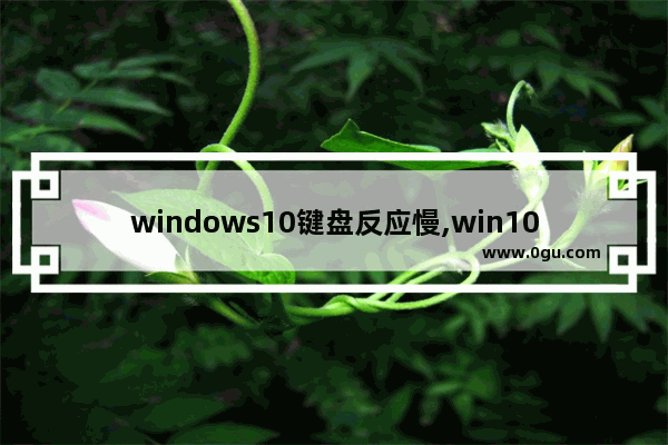 windows10键盘反应慢,win10键盘反应慢3秒才有反应