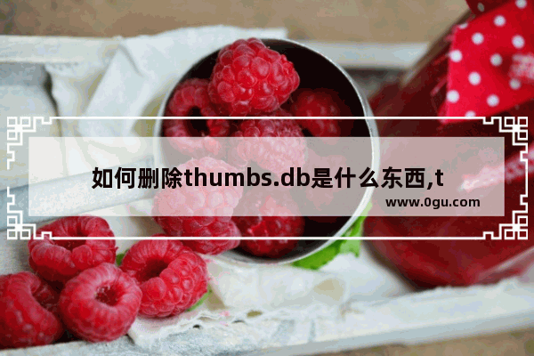 如何删除thumbs.db是什么东西,thumbs. db怎么删除