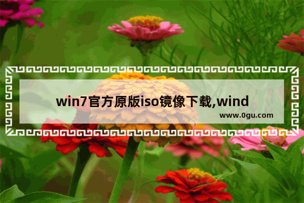 win7官方原版iso镜像下载,windows7系统iso镜像下载 1