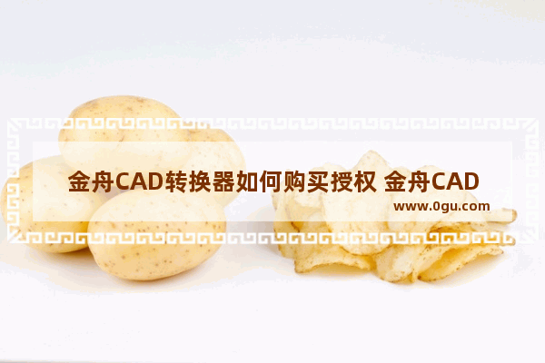 金舟CAD转换器如何购买授权 金舟CAD转换器购买授权方法