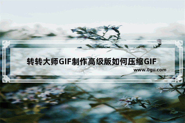 转转大师GIF制作高级版如何压缩GIF 转转大师GIF制作高级版压缩GIF的方法