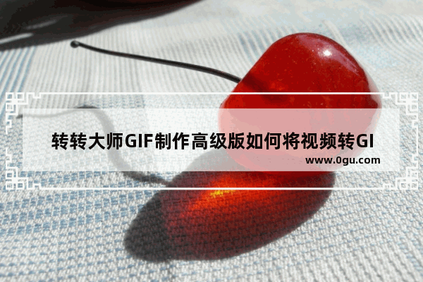 转转大师GIF制作高级版如何将视频转GIF 转转大师GIF制作高级版视频转GIF的方法