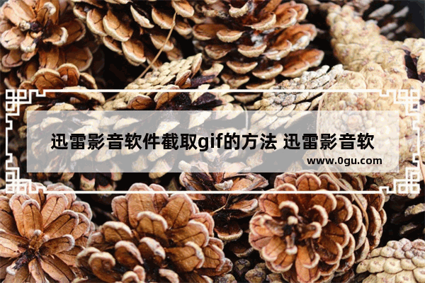 迅雷影音软件截取gif的方法 迅雷影音软件如何截取gif