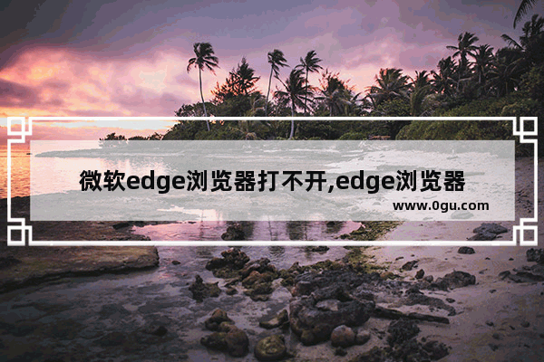 微软edge浏览器打不开,edge浏览器无法打开