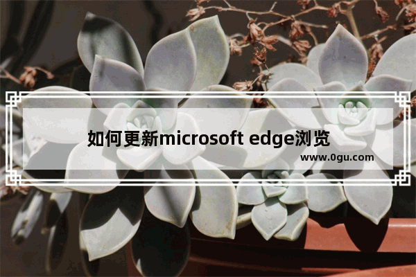 如何更新microsoft edge浏览器,windows edge怎么更新