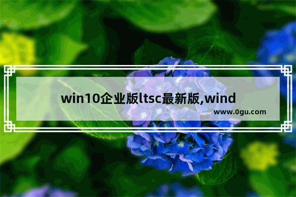 win10企业版ltsc最新版,windows10 企业版LTSC