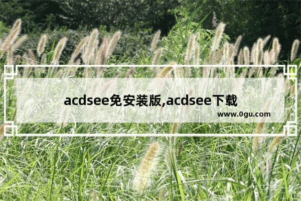 acdsee免安装版,acdsee下载