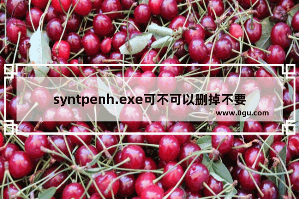 syntpenh.exe可不可以删掉不要,syntpenh.exe 应用程序错误