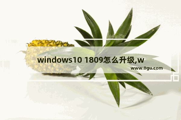 windows10 1809怎么升级,windows10升级新版本