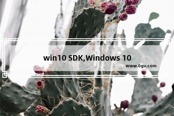 win10 SDK,Windows 10 sdk