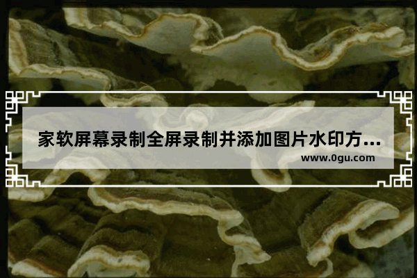 家软屏幕录制全屏录制并添加图片水印方法 家软屏幕录制如何全屏录制并添加图片水印