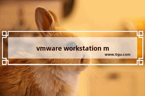 vmware workstation mac版本,mac用parallels安装win10