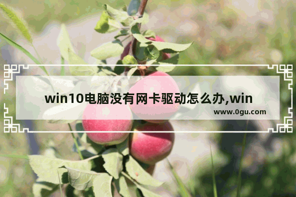 win10电脑没有网卡驱动怎么办,windows10没有网卡驱动怎么办