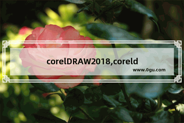 corelDRAW2018,coreldraw2019让我们了解您 1